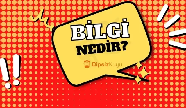 bilgi nedir bilginin kaynagi nedir