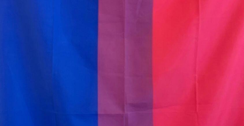 biseksuel bayrak