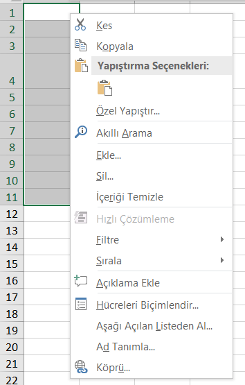 Excel Hücredeki Yazıyı Dikey Yazma 2