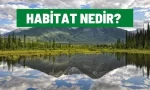 habitat nedir