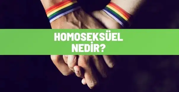 homoseksuel nedir