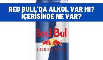 red bullda alkol var mi
