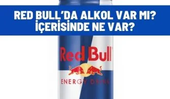 red bullda alkol var mi