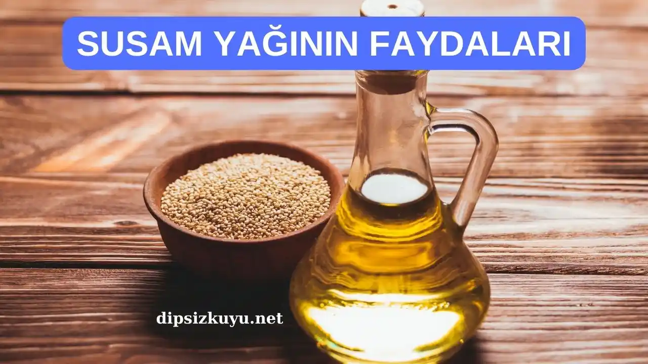 susam yaginin faydalari