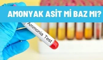 amonyak asit mi baz mi