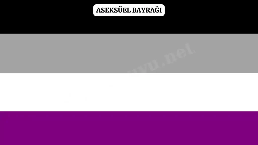 aseksuel bayragi