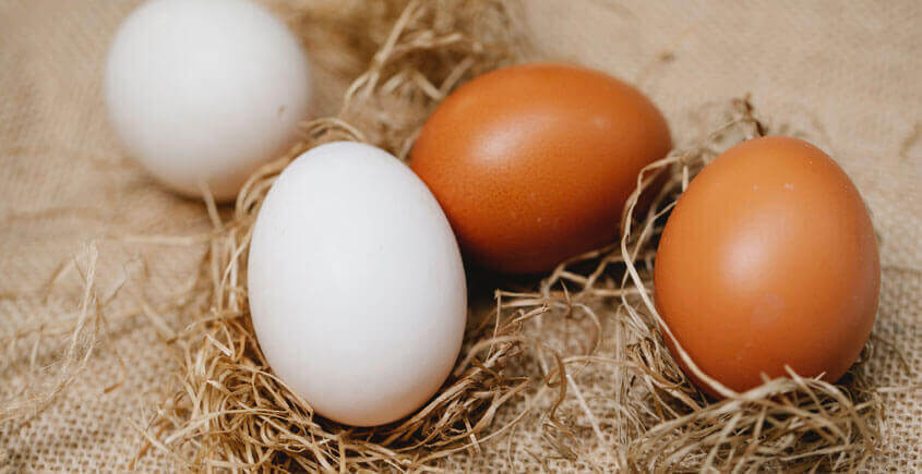 Beyaz Yumurta ve Sarı Yumurta Farkı, Organik Yumurta Nedir?