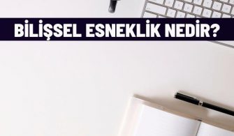 bilissel esneklik nedir