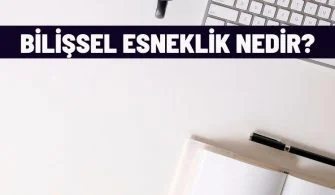 bilissel esneklik nedir