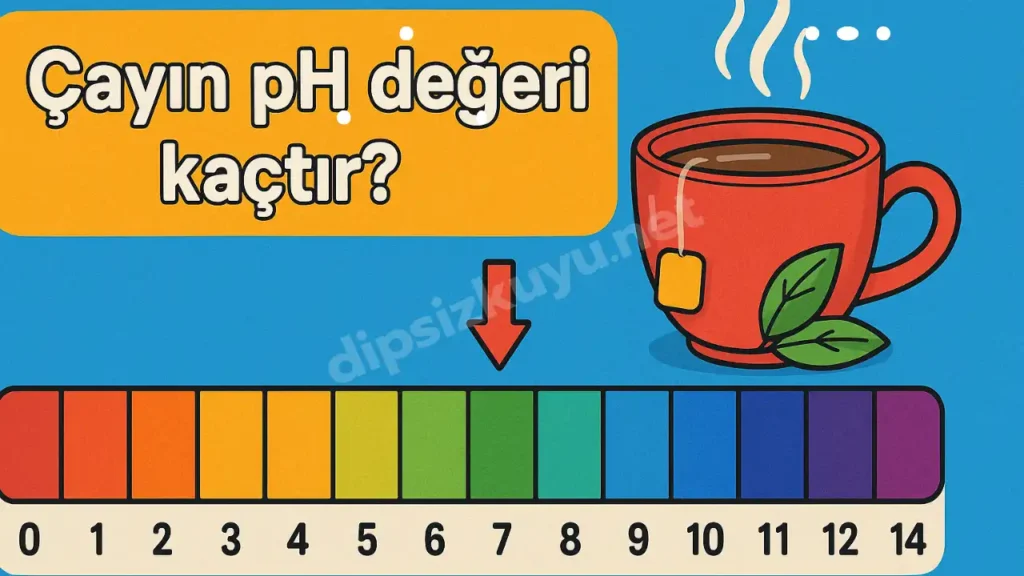 Çay Asit Mi Baz Mı? Çayın Ph Değeri Kaçtır?