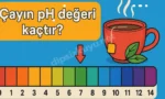 cayin ph degeri kactir