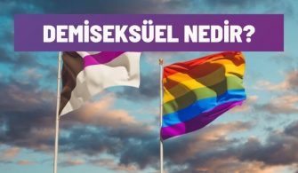 demiseksuel nedir