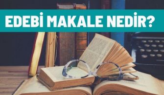 edebi makale nedir