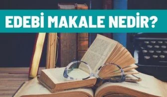 edebi makale nedir