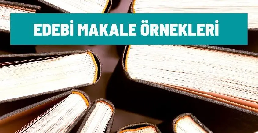 edebi makale ornekleri
