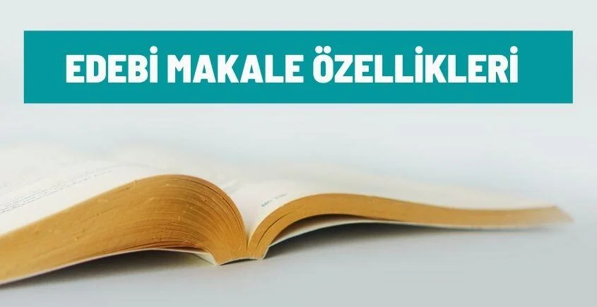edebi makale ozellikleri