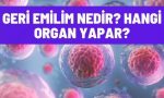 geri emilim nedir