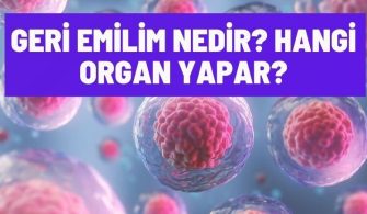 geri emilim nedir
