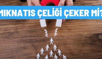 Mıknatıs Çeliği Çeker Mi? Çelik Tencere ve Kaşığı Çeker Mi?