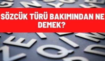 sozcuk turu bakimindan ne demek
