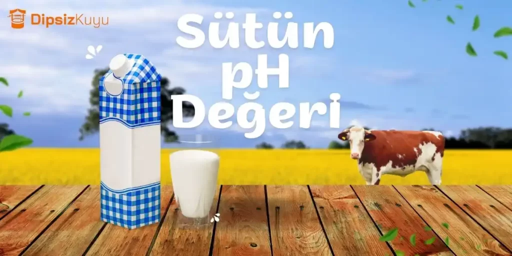 Süt Asit Mi Baz Mı? Sütün PH Değeri