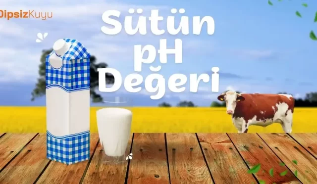 sut asit mi baz mi sutun ph degeri