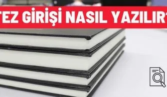 tez girisi nasil yazilir