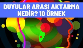 duyular arasi aktarma nedir 10 ornek