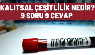 kalitsal cesitlilik 9 soru 9 cevap