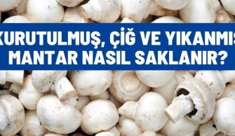 kurutulmus cig yikanmis mantar nasil saklanir