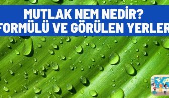 Mutlak Nem Nedir? Formülü ve Görüldüğü Yerler