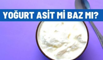 yogurt asit mi baz mi