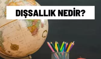 dissallik nedir
