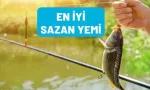 en iyi sazan yemi