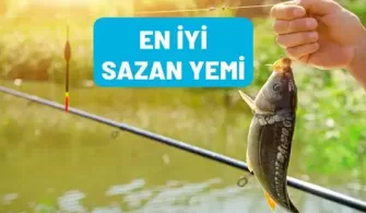 en iyi sazan yemi