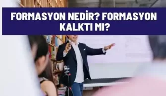 formasyon nedir