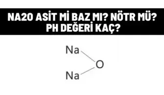 na2o asit mi baz mi