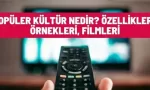 populer kultur nedir