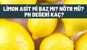 limon suyu asit mi baz mi
