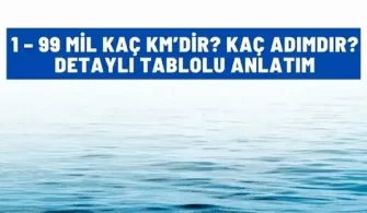 1 99 mil kac km detayli tablo