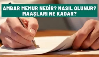 ambar memur nedir