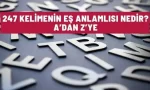 es anlamlisi nedir 247 kelime