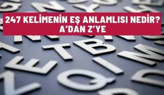 es anlamlisi nedir 247 kelime