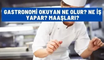 gastronomi okuyan ne olur