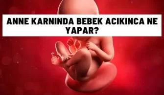 anne karninda bebek acikinca ne yapar