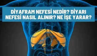 diyafram nefesi nedir