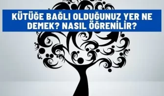 kutuge bagli oldugunuz yer