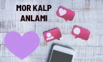 mor kalp anlami