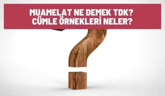 muamelat ne demek cumle ornekleri