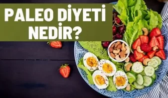 paleo diyeti nedir